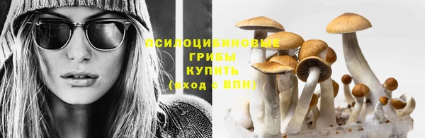трава Алзамай