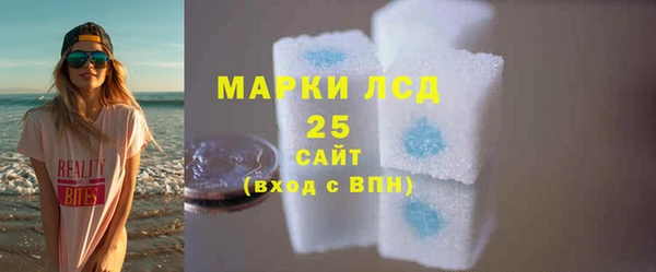 PSILOCYBIN Липки