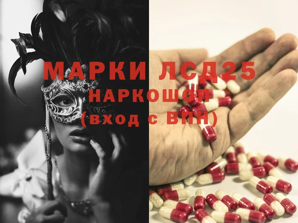 PSILOCYBIN Липки