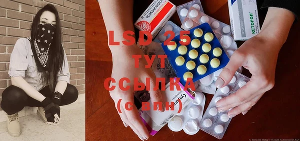 PSILOCYBIN Липки