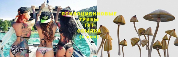 прущий лед Няндома