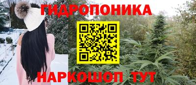 гидропоника Коммунар