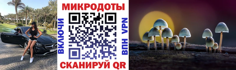 Псилоцибиновые грибы Psilocybine cubensis  Урай 