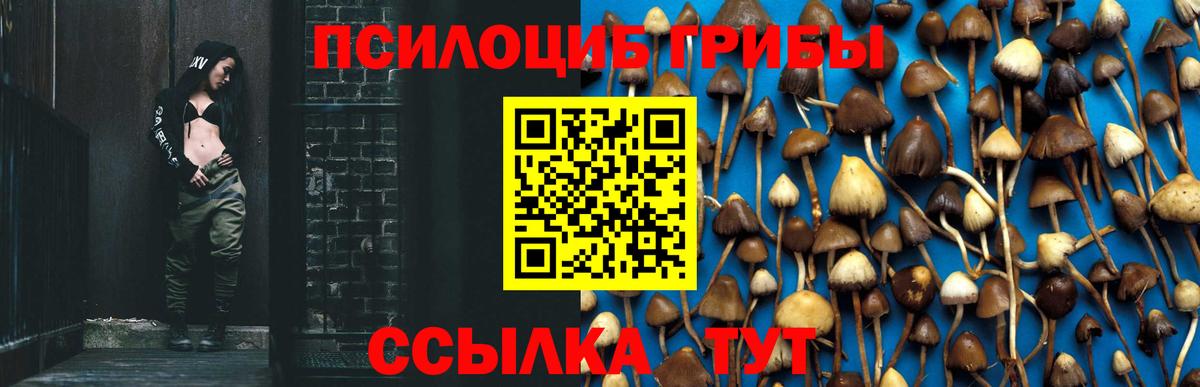 Галлюциногенные грибы GOLDEN TEACHER Урай